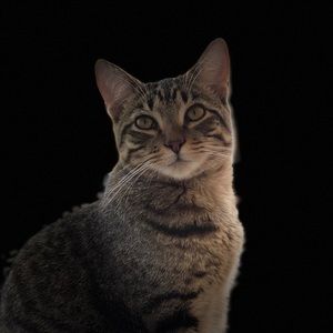 Meet your Posher, Ane